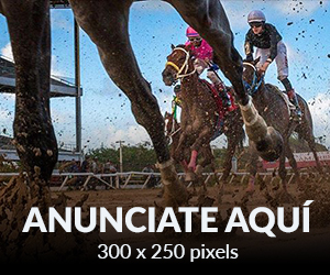 Addzone: Banner Add 300 x250 Pixels (A)