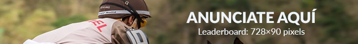 Addzone: Leaderboard: 728×90 pixels