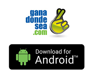 Android App 300 x250